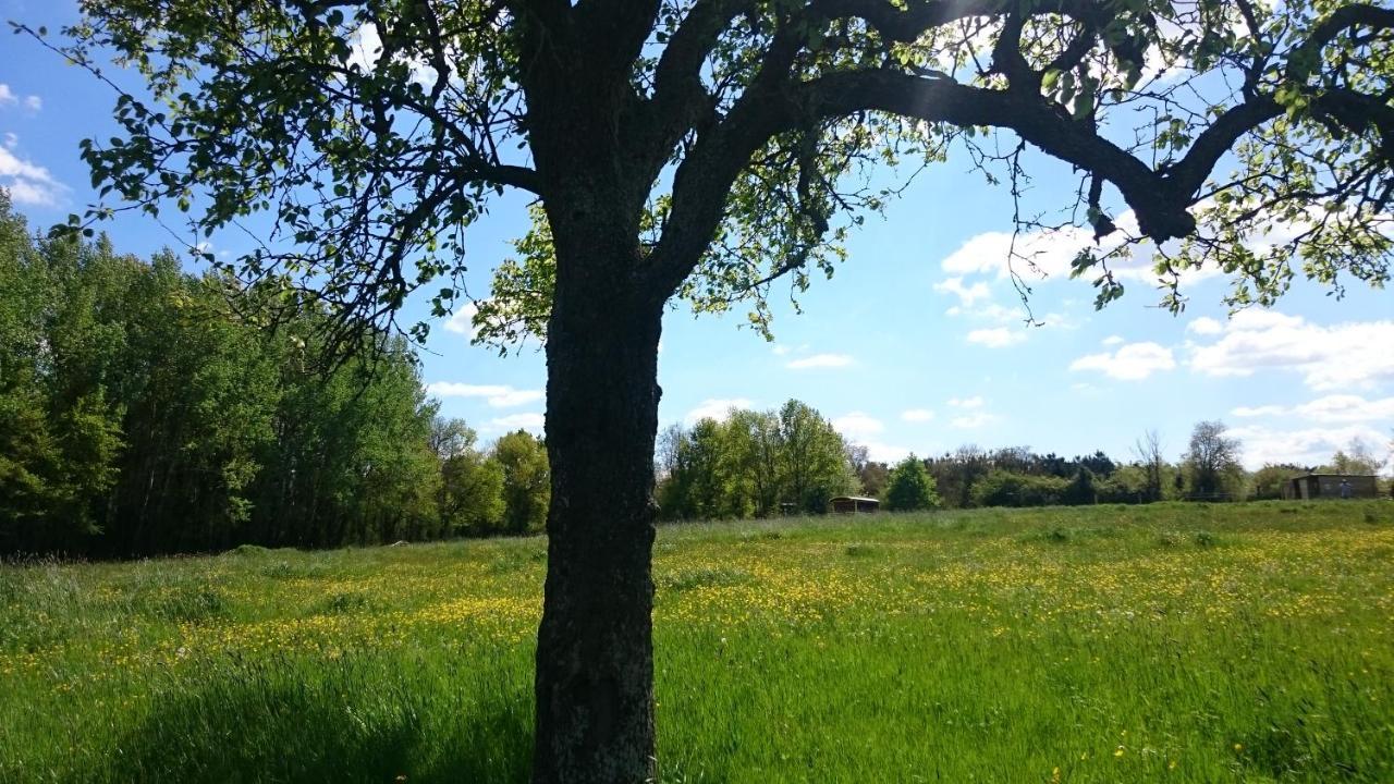 Domaine De La Grangee *
